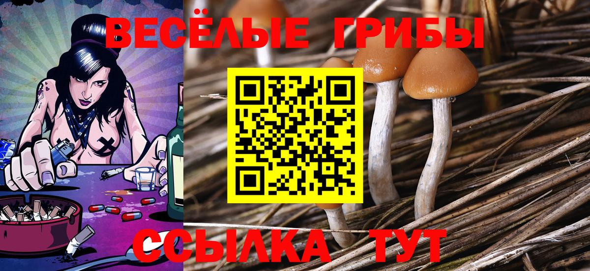 Нефтеюганск  Псилоцибиновые грибы мухоморы  Вход с VPN  Галлюциногенные грибы Psilocybe 