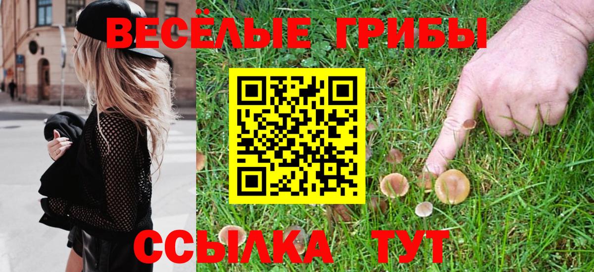 Галлюциногенные грибы GOLDEN TEACHER Нефтеюганск